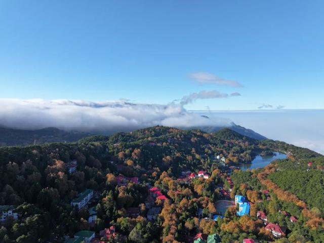 云瀑倾泻梧叶黄：庐山秋景缤纷奇