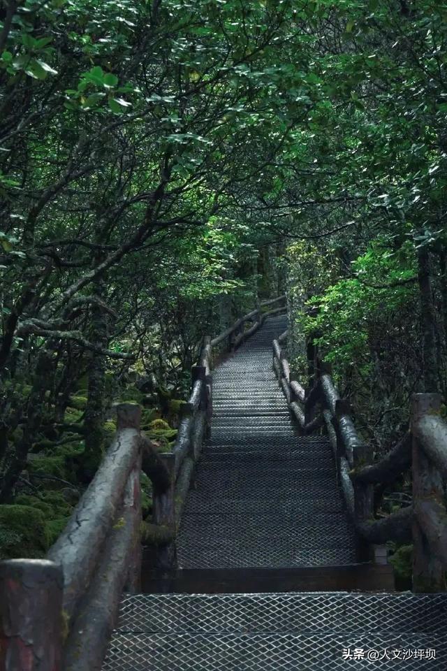 百万职工游巴蜀 | 重庆高铁直达的17℃夏天，高山湖泊 × 温泉瀑布×火把节！趁现在人少赶快冲！