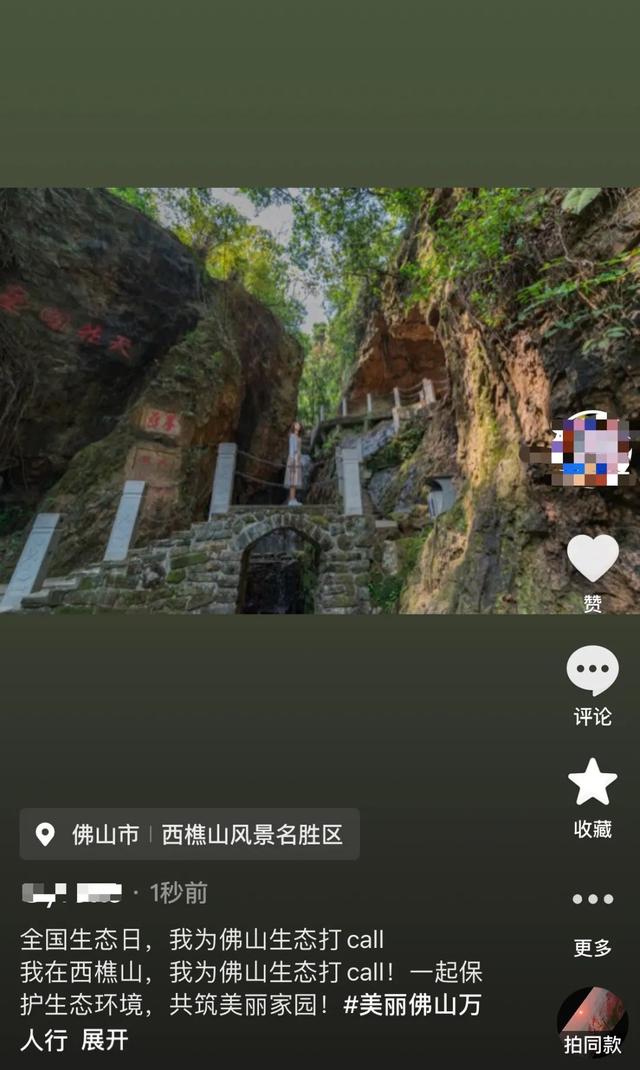 8·15全国生态日！美丽佛山万人行，生态成果齐见证