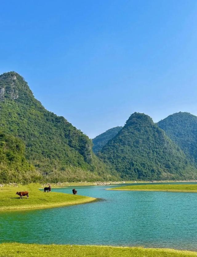 反向操作,解锁广西隐秘秋色!7天6夜避开人潮的治愈之旅