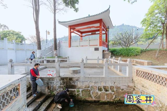新增5个！2025年佛山市文化和旅游特色村名单出炉→
