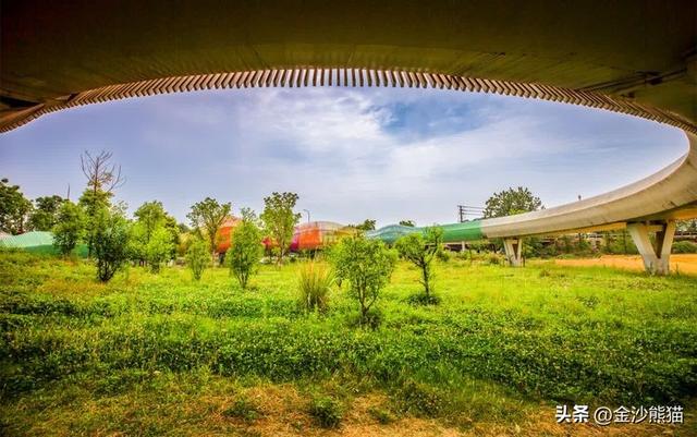 100公里成都绕城绿道上的桥梁美景