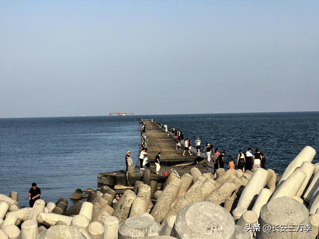 北上大草原第3站：日照凌晨观火箭，东营午后探黄河