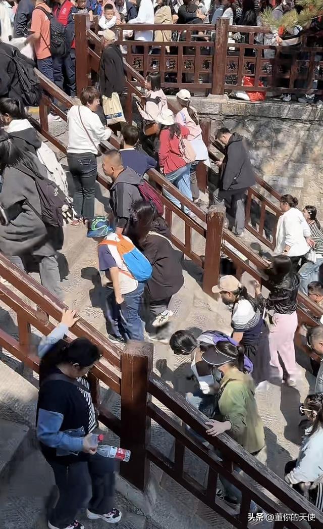来到洛阳后才发现，和网上说的不大一样！有空一定要去看看！