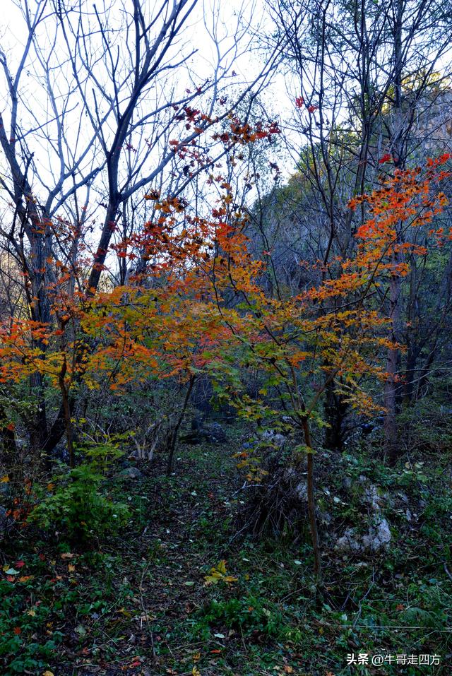 辽阳核伙沟（上）：百里锦绣廊、东北小黄山