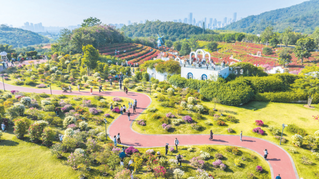 北国雪飘，南宁花开！藏不住了，这座城市的冬天“开挂”了！