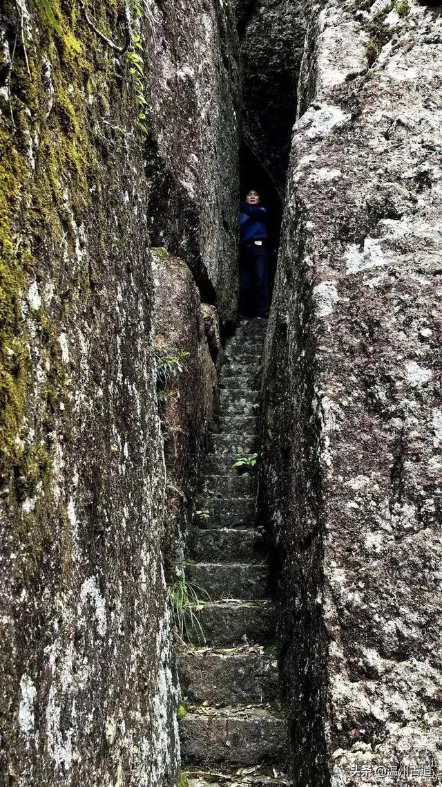 温州酷暑哪里有清凉,当然永嘉四海山!