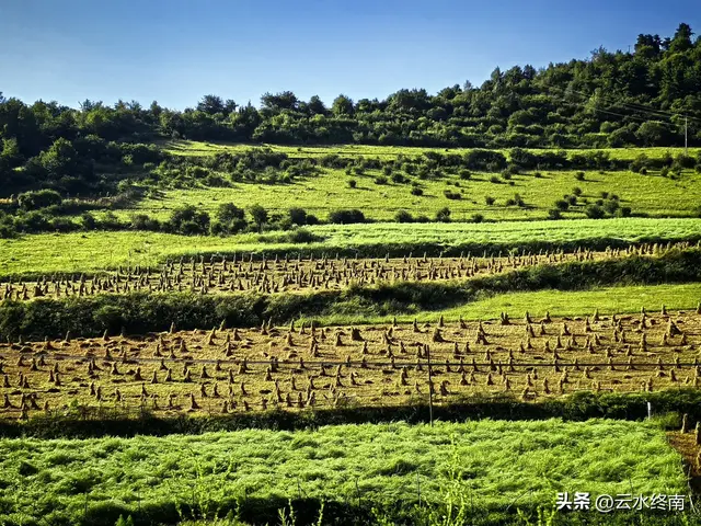 关山牧场会“瑟瑟发抖”？我看多虑了，即使旁边有大片免费的草原