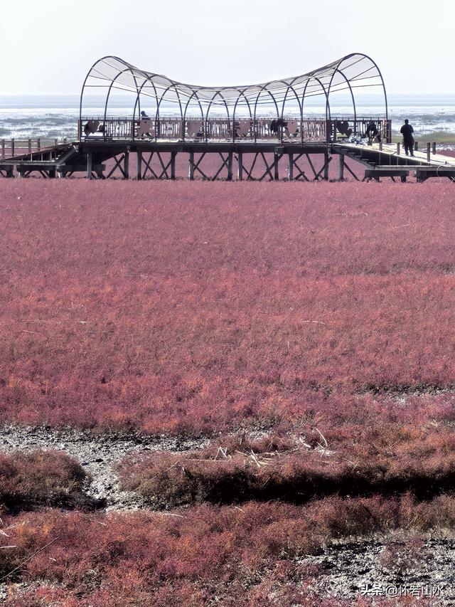 2025辽宁赏秋之旅日记(5)——从本溪前往盘锦 游览红海滩景观