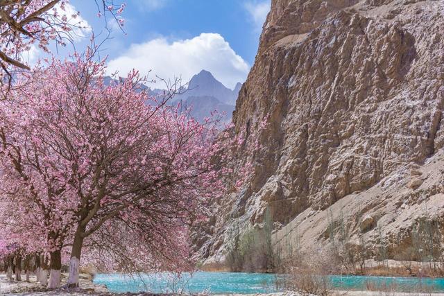 3月4月，10处绝佳踏春地，寻春踏青安排起来