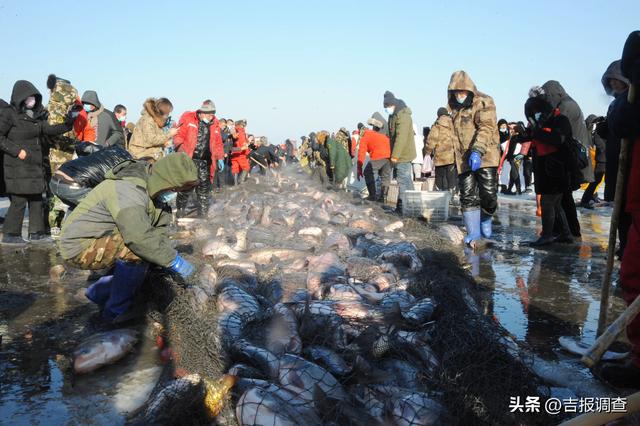 以雪为媒 以文塑旅 镇赉奏响冬日文旅新乐章