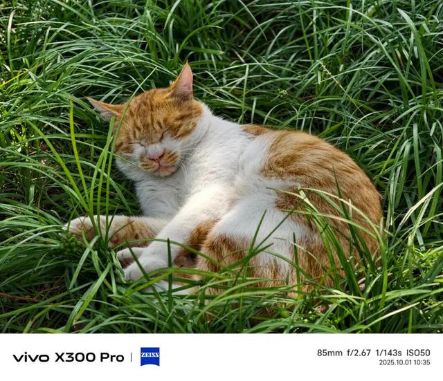 vivo X300系列评测：同级巅峰影像 出片易如反掌