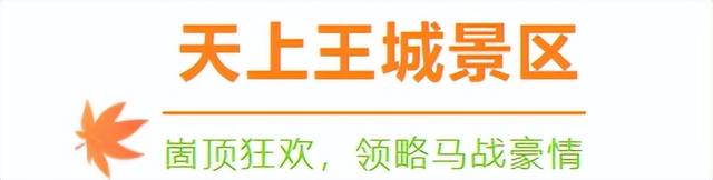 跟着色彩游临沂 | 红叶漫山・秋韵沉醉之旅 美到尖叫