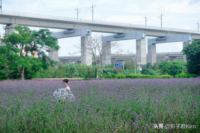 晋江古村落探寻与美食之旅：梧林·五店市一日旅食攻略