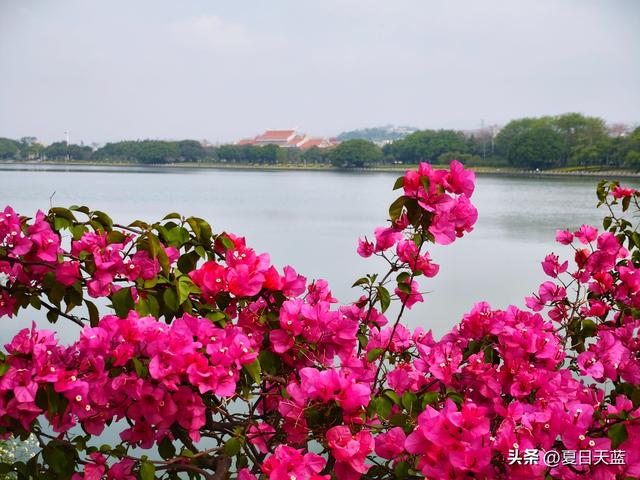 比起游人如织的开元寺和西街，泉州这两处小众景点游览体验更好