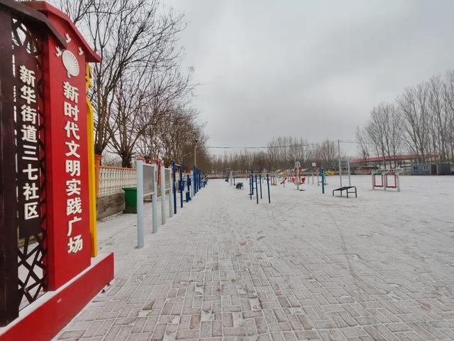 雪中探访德州城南村庄——三七村，一个跟中草药没有关系的村庄