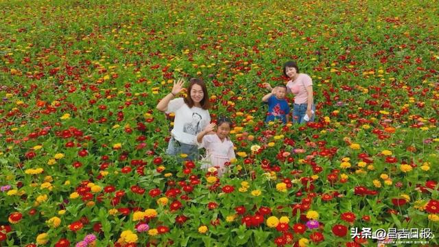总要来一次昌吉市吧！在秋日限定里读懂三产融合的治愈之美