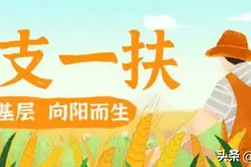 2024年“三支一扶”计划3大亮点！附工资待遇与政策优势讲解。图片