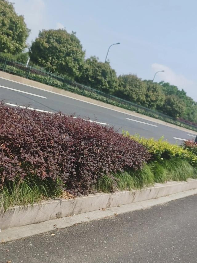 游逛塘栖丁山湖景区