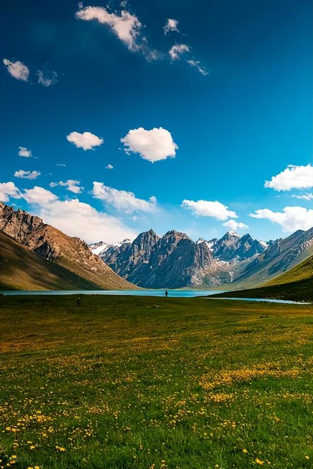 一次性学透|单词变复数后 “s” 的发音规则