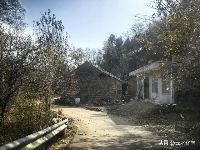 开车到蓝田这个岭上看柿子、观山景、晒暖暖，就是初冬最幸福的事