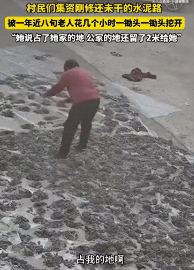 80岁老太拿锄头破坏水泥路后续：村干部曝恶心内幕，实则争口气