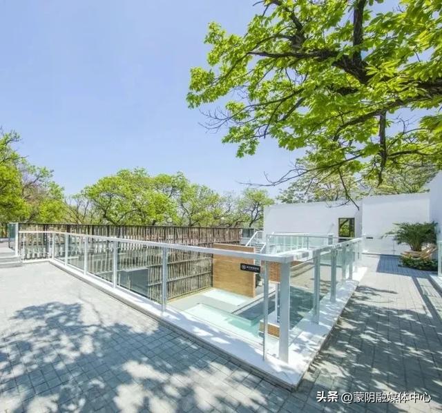 喜报！沂蒙山云蒙景区荣登携程2025必打卡景点榜！