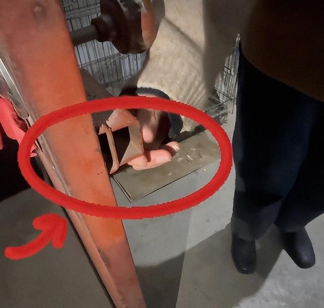 山西摔犬反杀案，律师一句话问住法官：天黑时，你还敢去现场吗？