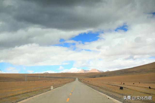 震惊老司机！走一遍就终身难忘！216国道到底有多绝？