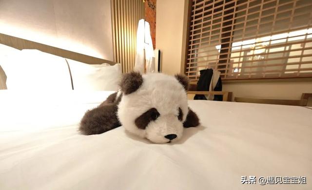 来自千里之外的问候：大家猜猜我在哪儿？