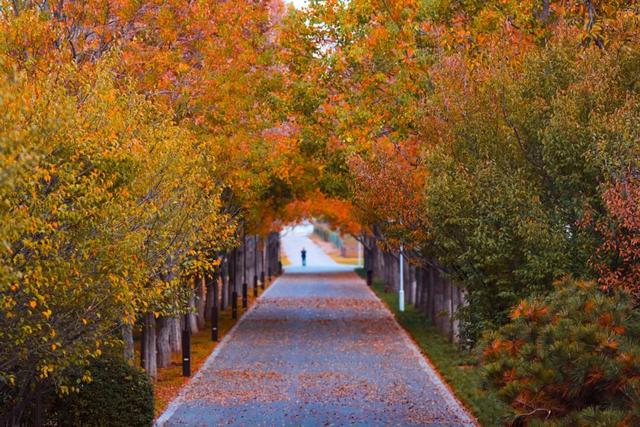 郑州航空港，真的不只会“飞”！