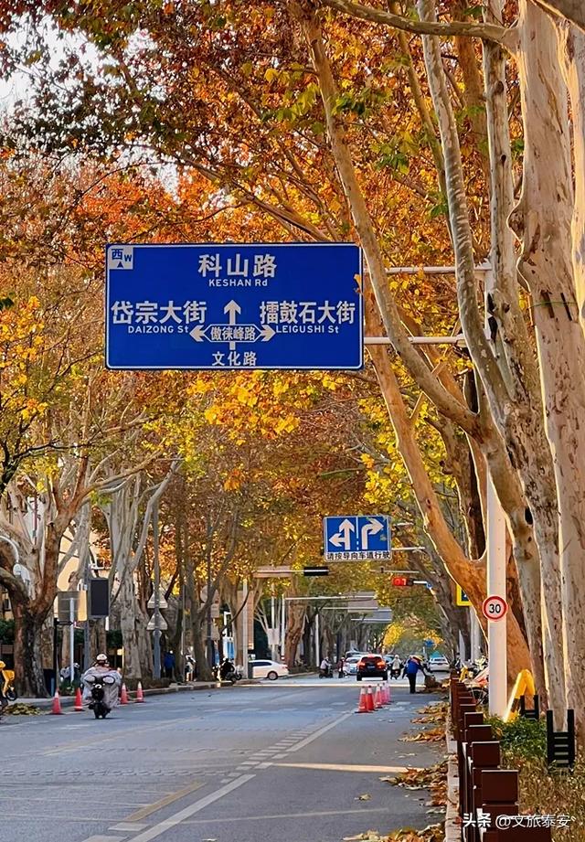 Citywalk街拍点+1!解锁泰安过冬究极浪漫,这条路也许离你不远~