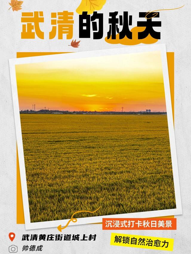 嗨，你的秋天留住了吗？