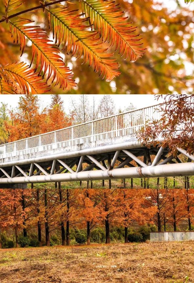 西安周末好去处——初冬8处宝藏公园免费又好玩！