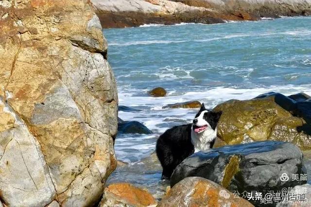 国家地理认证的中国十大最美海岛之一！温州这个绝美海岛你可去过