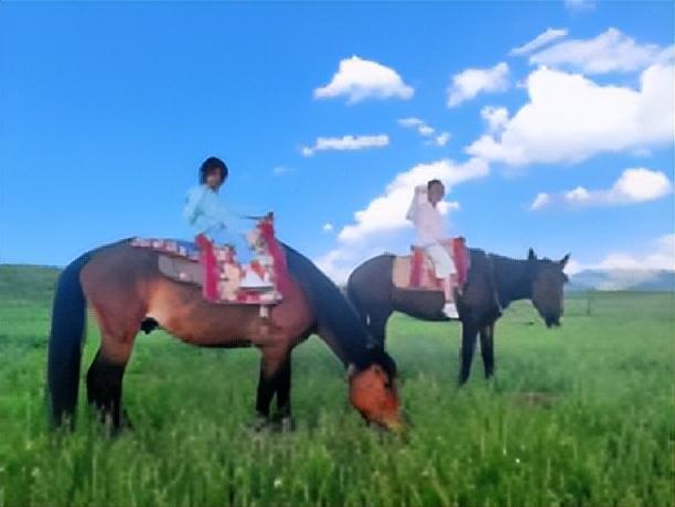 游记/寒冰：桑科草原