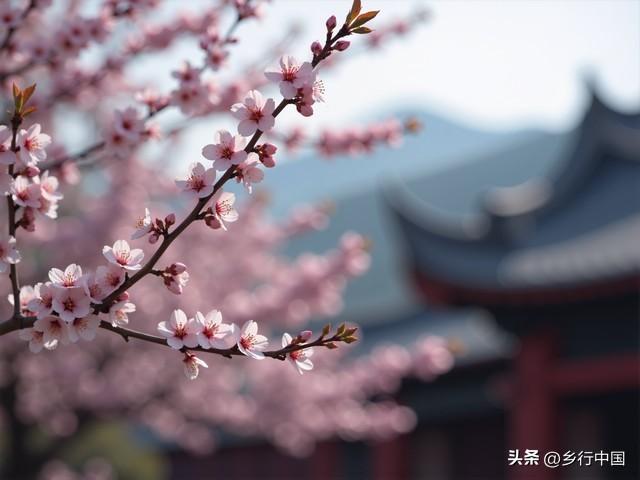 南部县寺外桃源景区：景村-乡镇-片区联动助力南西盐三县文旅发展