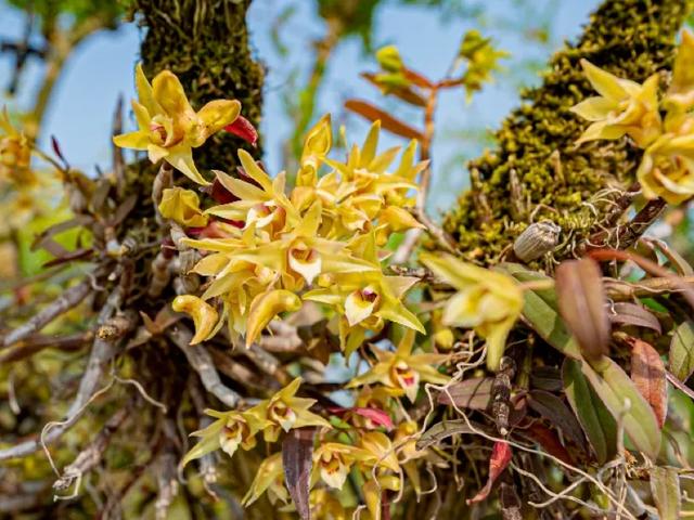 沪上这9条秋游线路，带你走进申城最美的秋景~