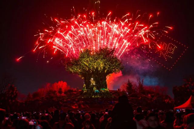 赏花灯，庆佳节！乐海神话世界华灯初上，动物王国喜气满满
