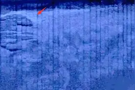 在波罗的海发现的疑似外星飞碟的物体，为何至今无人打捞？图片