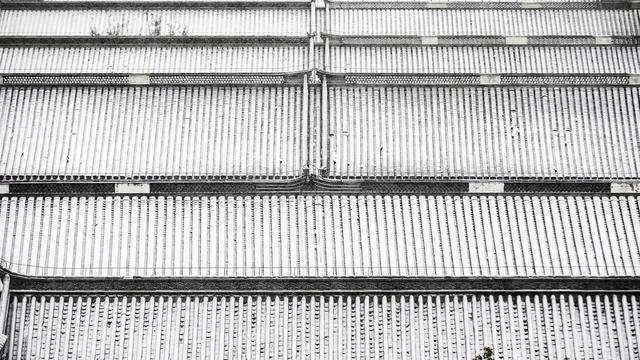 在台儿庄古城等一场青砖黛瓦的白色浪漫