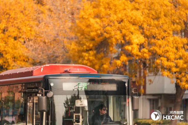 秋洒落的地方 藏着温柔与力量