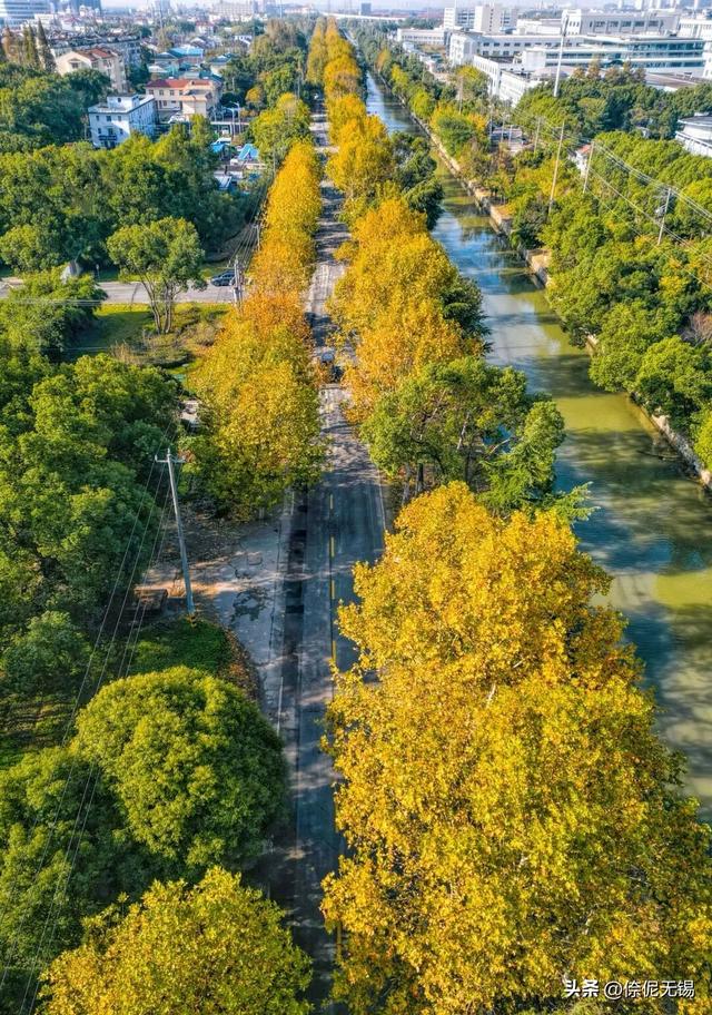 拥堵预警！这周末大家都去......