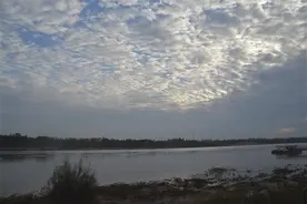 希特勒的崛起图片