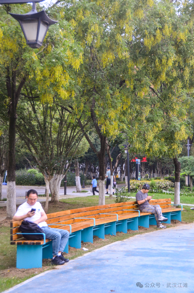 要读懂武汉人的浪漫，就去江滩吧！新上的一批观景座椅太“撩人”啦