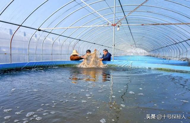 李在明结束访华，启程返韩前	，向中方提了一个建议：希望平分黄海