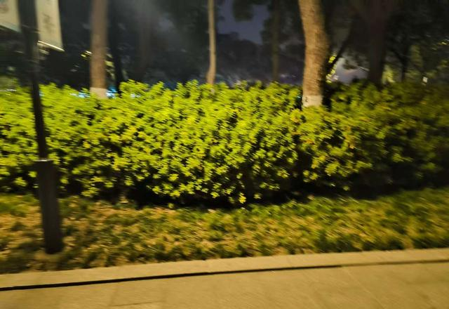 银行取完钱，要不要再数？银行柜员告诉你正确的操作方法