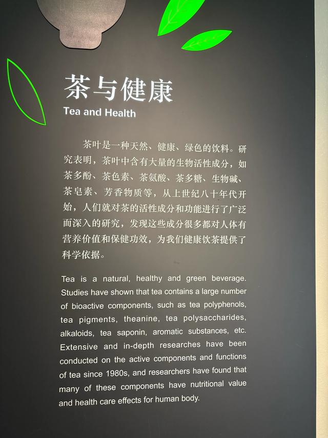 杭州小众游玩路线，茶叶博物馆和浙江美术馆半日游，建议收藏