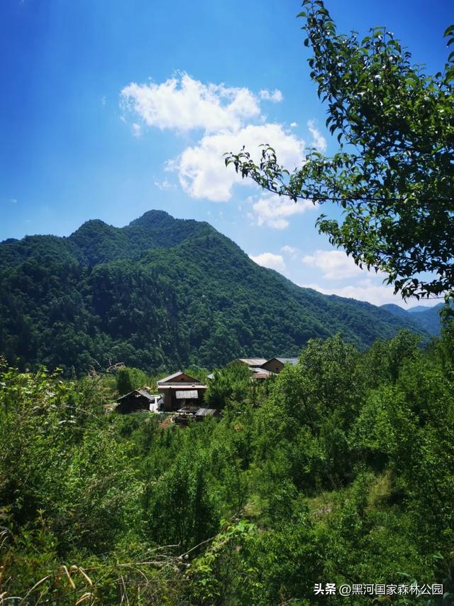这个夏天,凉爽黑河等风也等你