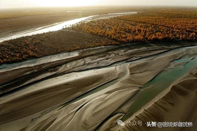 【塔里木河的记忆】塔里木河,再次唱出生命的歌(上)